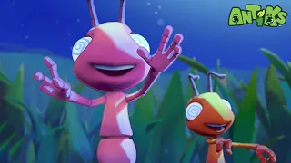 Bug Zapper | Funny Cartoons For All The Family! | Funny Videos for kids | ANTIKS