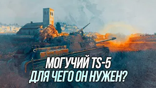 Тише едешь - дальше будешь! | Обзор TS-5 | Wot Blitz