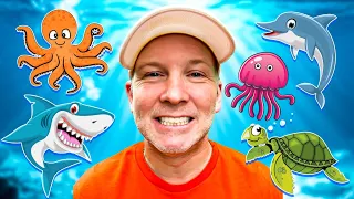 Explore sea animals and learn their noises with Carbeli