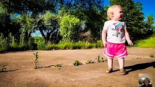 Funny Baby Meet Animals For The First Time  |  Cool Baby
