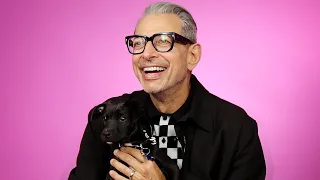 Jeff Goldblum Plays With Puppies While Answering Fan Questions