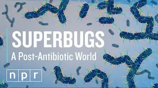 How Superbugs Could Mean The End Of Antibiotics | Let's Talk | NPR