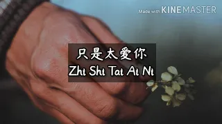 只是太爱你-Zhi Shi Tai Ai Ni ||Lirik Pinyin