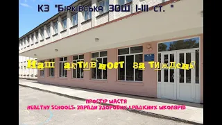 КЗ "Бірківська ЗОШ І-ІІІ ст. " Healthy Schools:  Простір щастя