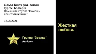 Жесткая любовь. Спикер - Ольга Ключ (Ал-Анон), гр. "Звезда" Ал-Анон, 14.06.2021