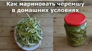 Черемша маринованная. Как Мариновать Черемшу в Домашних Условиях