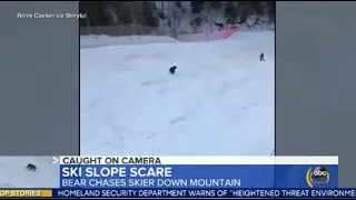 Bear chases skier down mountain in Romania | ABC News