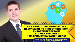 Как инвесторы относятся к небольшим по инвестиционной емкости проектам? Что говорят и что думают?