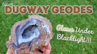 These Geodes GLOW Under a UV Blacklight - Cutting Geodes from Utah's Dugway Geode Bed