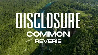 Disclosure, Common - Reverie (Official Visualiser)