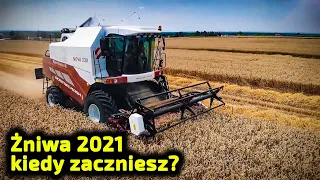 Żniwa 2021 Kto pierwszy zacznie 👉5 kontenerowców z Ciągnikami Arbos 2035 płynie do Polski [Korbanek]