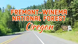 Fremont-Winema National Forest in Klamath County, Oregon. Drive Through Tour!