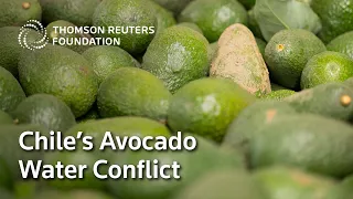 Is our love of avocados fuelling Chile's drought? | Running Dry