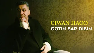 Ciwan Haco - Gotin Sar Dibin [Official Audio]
