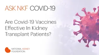 Are Covid-19 Vaccines Effective In Transplant Patients?