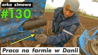 Praca na farmie w Danii #130 | Work on the farm in Denmark #130 orka zimowa winter plowing