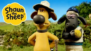 Spoilsport / Baa-d Hair Day | 2 x Episodes S5 | Shaun the Sheep