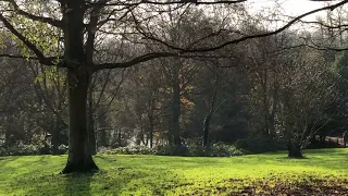 London's loveliest park