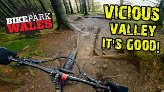 Vicious Valley Red Run - Bike Park Wales