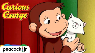 George Finds the Cutest Cure! | CURIOUS GEORGE