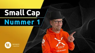 💥 SmallCap #1 💥 Vorstellung des Projektes ⚠️ 300x - Potential ❓Aufnahme September 2023