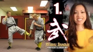 Kung Fu Tutorial 1 : Qi Xing Quan 少林七星拳 : Wushu Shaolin Online Study