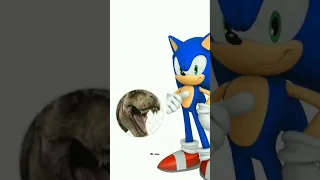 Sonic Vs trex (Sonic wins)