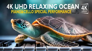 Ocean Life 4K Video  Piano And Cello Special Performance Beautiful Coral Reef Fish For Stress Relief