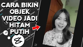 Cara buat Objek video jadi hitam putih di capcut 2024 | Rohmadso