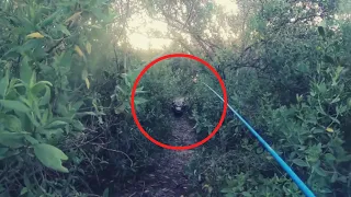 6 Crocodile Encounters That Will Haunt You (Part 2)