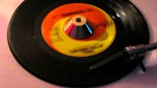 THE CHECKMATES, LTD. - WALK IN THE SUNLIGHT ( CAPITOL 5922 )