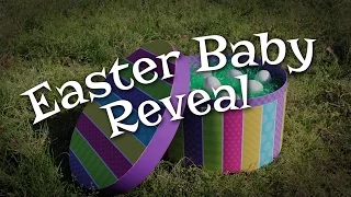 Easter Egg Gender Reveal