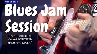 Blues Jam Session Юрий Нестеренко - Сергей Коноплев - Артем Кричевский. 4 студия