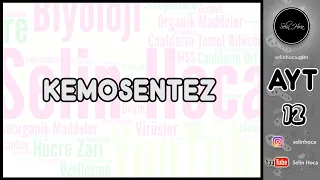 10) Kemosentez