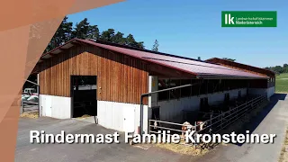 Rindermast Familie Kronsteiner