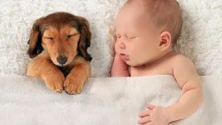 Baby Dogs 🐶 cute and funny dog video compilation ll funny child (part 4)