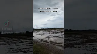 Suasana Pulau Timbul, Jitra, Kedah