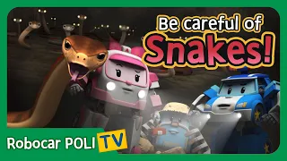 Be careful of Snakes! | Robocar Poli Clips