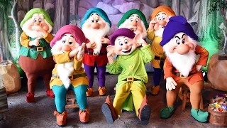 Meeting The Seven Dwarfs at Mickey's Not-So-Scary Halloween Party 2016, Walt Disney World