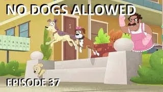 Pound Puppies - No Dogs Allowed - Episode 37 (FULL EPISODE)