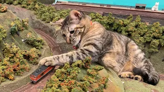 [4K] Cat Cafe in Japan (Diorama Restaurant) Giant Cats in Osaka(miniature Japanese railway diorama)