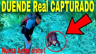 Duende grabado por primera vez capturado ( nuevo vídeo )