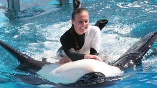 Tilikum - The Terrifying Orca Who KILLED its Trainer Dawn Brancheau