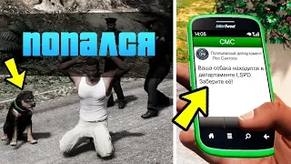 ЧТО ПРОИЗОЙДЕТ С ЧОПОМ ЕСЛИ ФРАНКЛИНА АРЕСТУЮТ?! ЧТО БУДЕТ? (GTA 5)