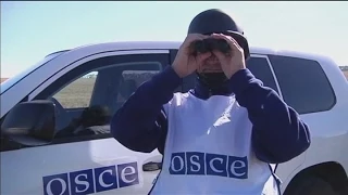 OSCE Refutes Ukraine Cluster Bomb Allegations: OSCE observers question Human Rights Watch report