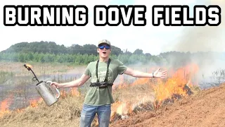 BURNING Fields for DOVE HUNTING (Millet)