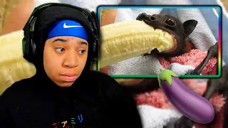 SimbaThaGod Reacts To 3 Daily Dose Of Internet Videos