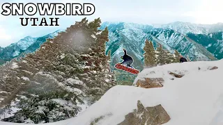 Mind-Blowing POWDER DAY at SNOWBIRD!! The BEST Resort in Utah 2023!