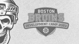 Interview with Boston Bruins Prospect Fabian Lysell at 2023 Development Camp