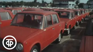 Советские автомобили в Панаме. Эфир 16.02.1982 год